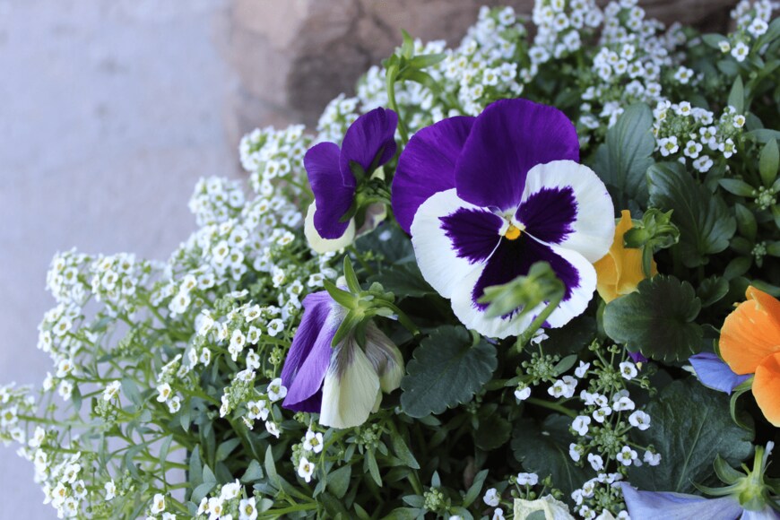 LindeeBee/shutterstock.com