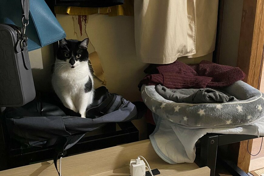 出所：@00shitemita