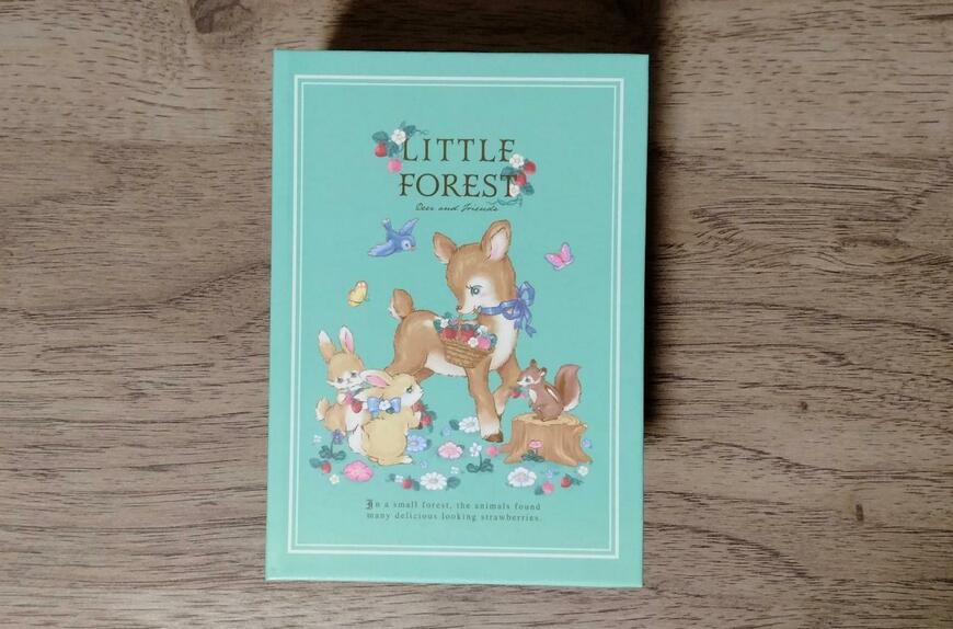 筆者撮影（セリア、ブック型ボックスS ヴィンテージフォレスト）