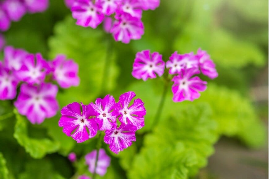 Dmitry Potashkin/istockphoto.com