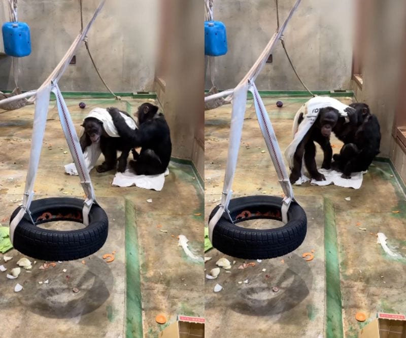 旭川市旭山動物園