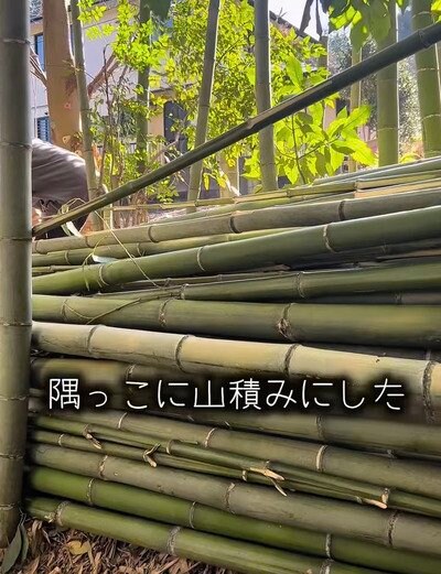 DIY前の青竹
