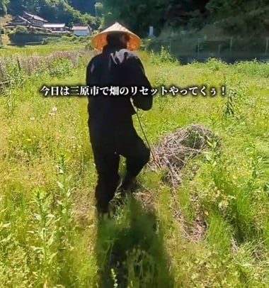 投稿の画像
