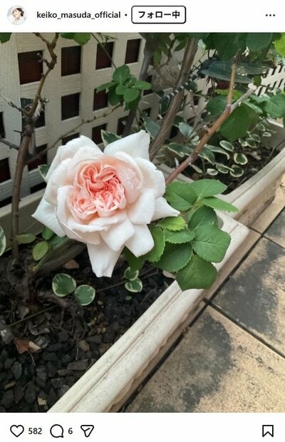 増田惠子のInstagram投稿