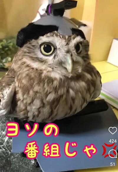 投稿動画のワンシーン