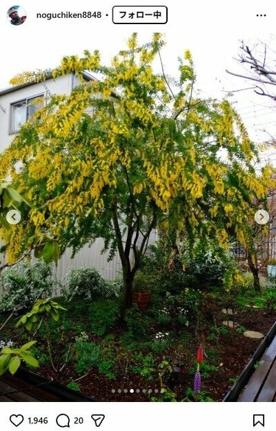 野口健のInstagram投稿