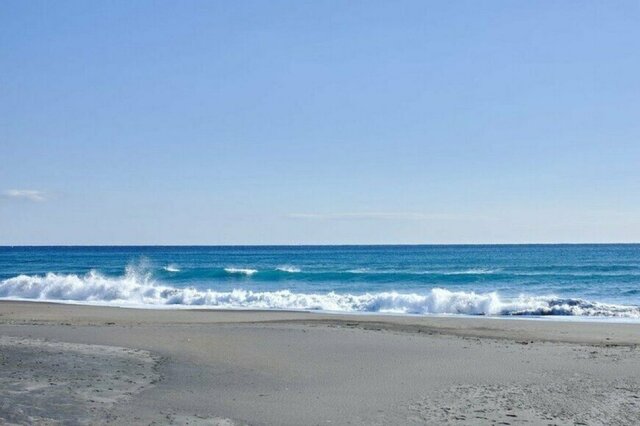 海岸で発見した「白くて巨大な塊」に目を疑う　まさかの正体に「なんじゃこりゃあ」