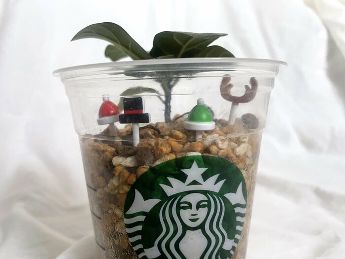 ピックを土に刺してみました