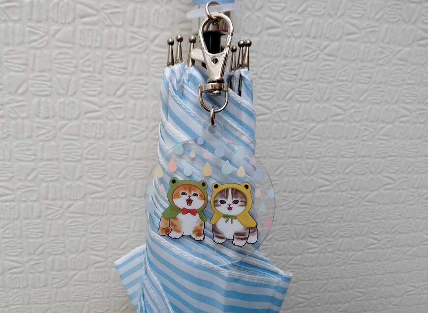 筆者撮影（セリア、mofusandアンブレラキーホルダー）