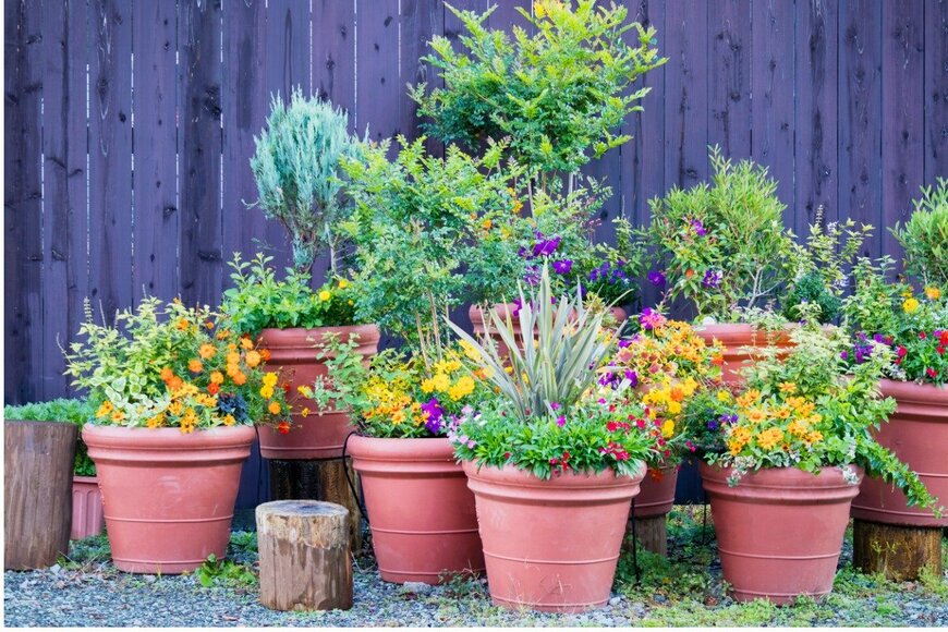 rodho/istockphoto.com