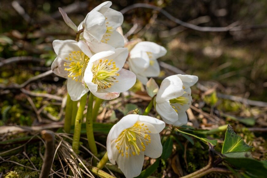 Stefan Rotter/istockphoto.com