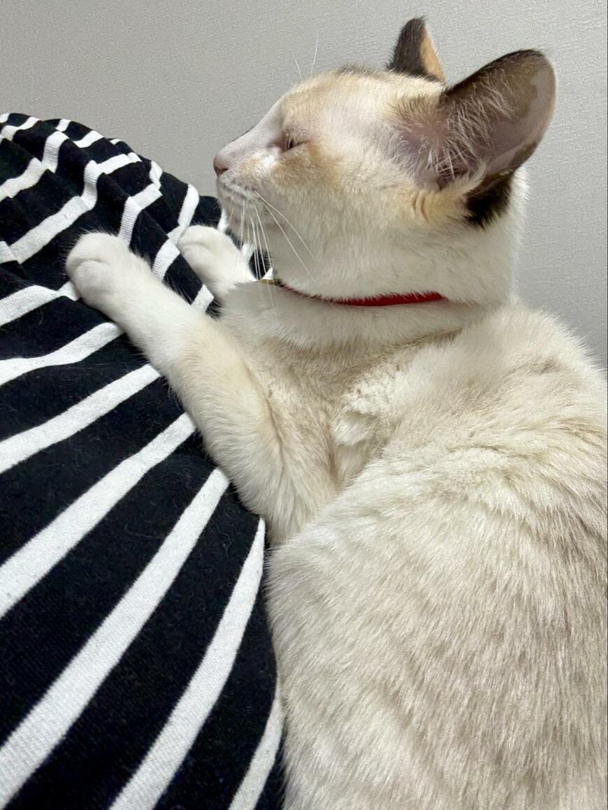 出所：@omochi_nam01