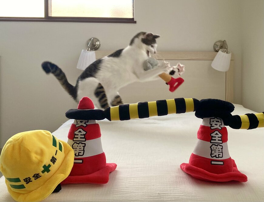 出所：@Saeroyi_cat