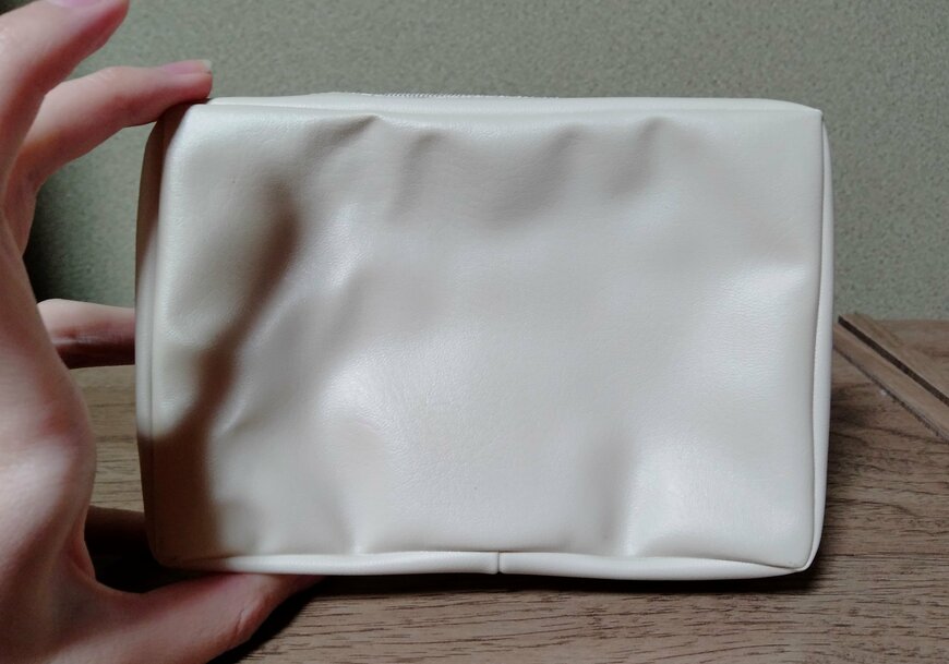 筆者撮影（セリア、PVCポーチ 窓あき ヴィンテージアニマル）