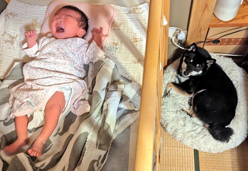 出所：@BLshiba_tensuke