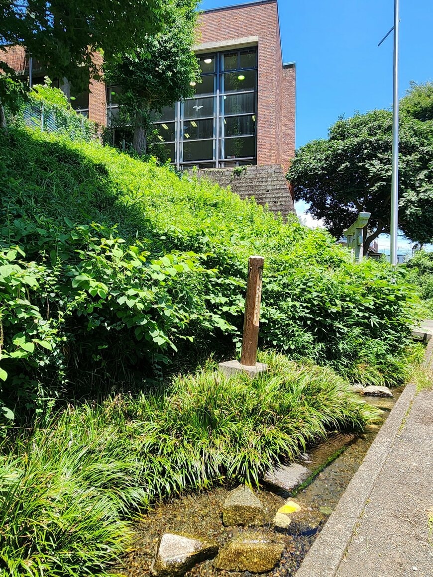 画像出所：@e_ikuon