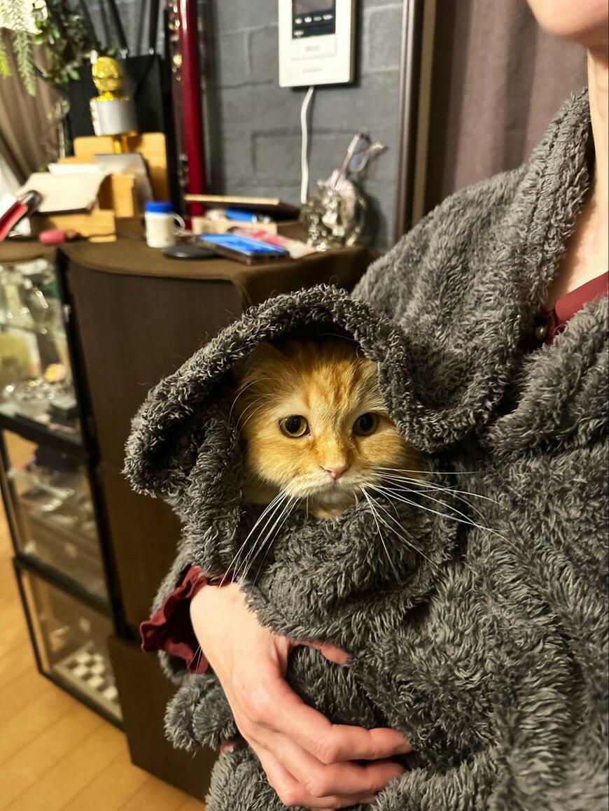 出所：@NEKOLAND13