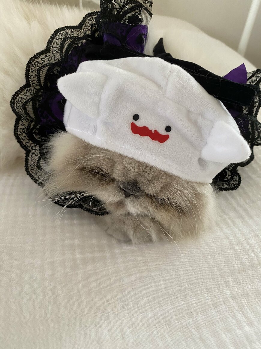 被ったり、着たり、遊んだり。とても疲れたようで寝てしまいました…。