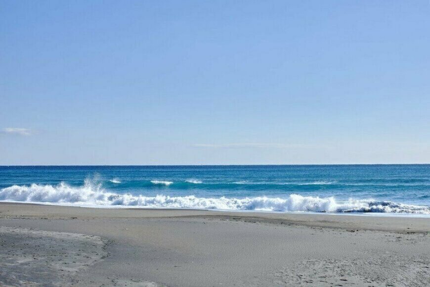 海岸で発見した「白くて巨大な塊」に目を疑う　まさかの正体に「なんじゃこりゃあ」