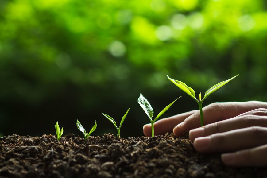 RachenArt/shutterstock.com