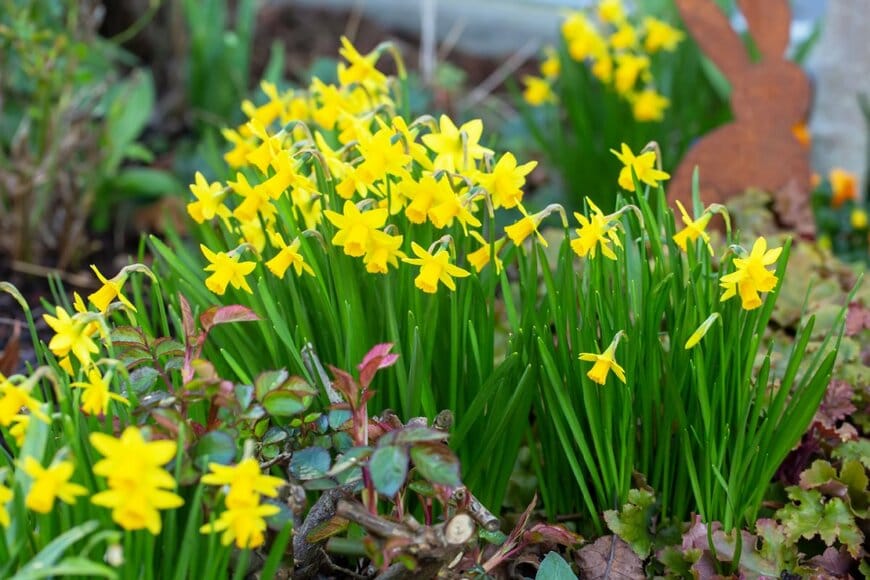 BarthFotografie/shutterstock.com