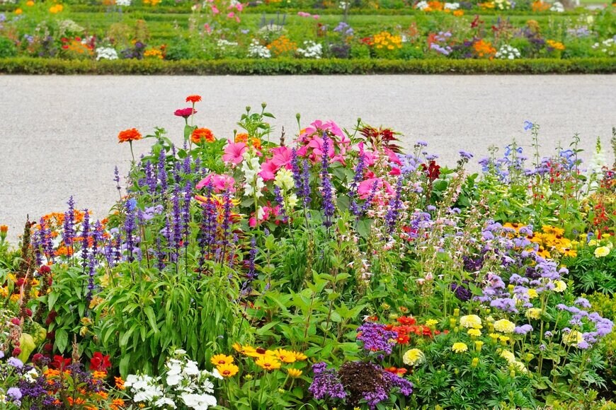 AlinaMD/Shutterstock.com