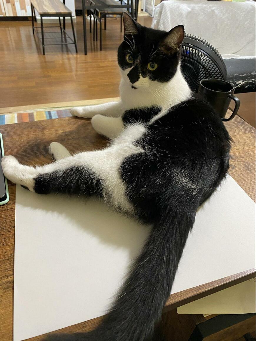 出所：@00shitemita