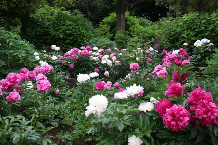 Windyboy/shutterstock.com