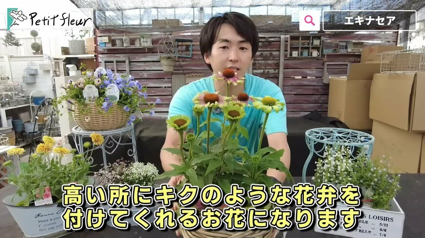 出所：@petit_fleur