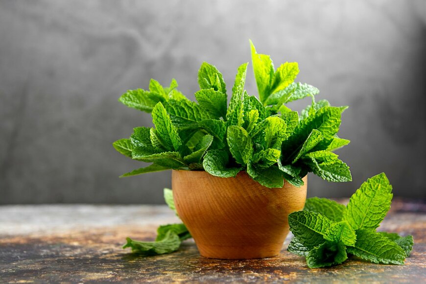 Poring Studio/Shutterstock.com