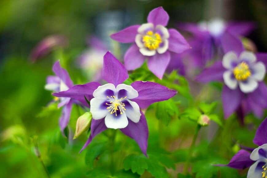 ejhuynh/istockphoto.com