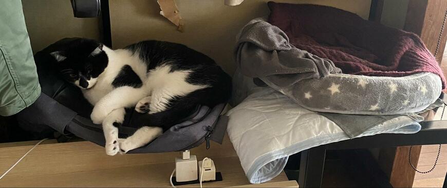 出所：@00shitemita