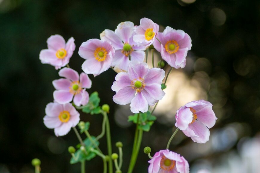 Iva Vagnerova/istockphoto.com