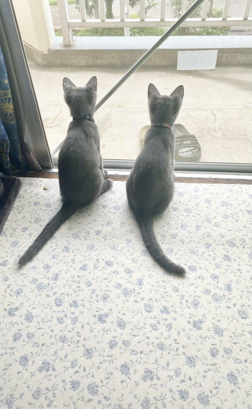 出所：@luna7taka9