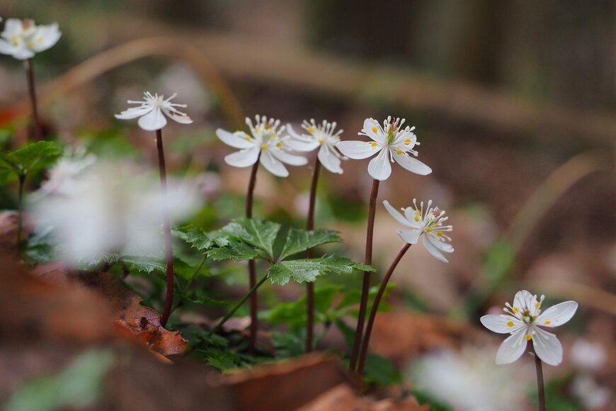 63KEI/shutterstock.com