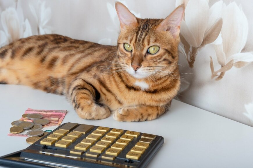 【2025年度】6月支給分から厚生年金と国民年金は「1.9％増額です！」私の年金額はいくら？「年金額改定通知書・年金振込通知書」のチェックポイント