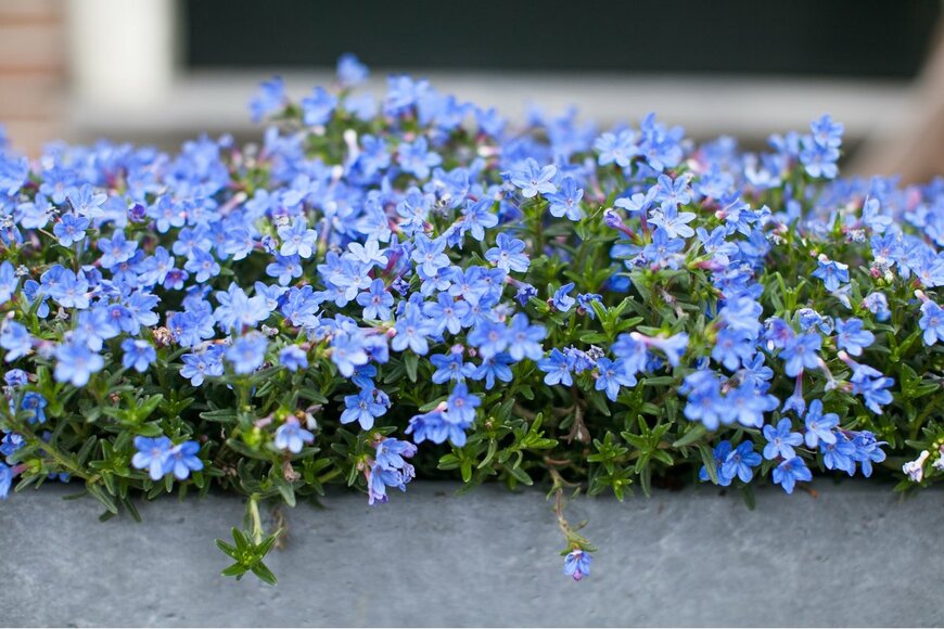 Kastaprav/Shutterstock.com