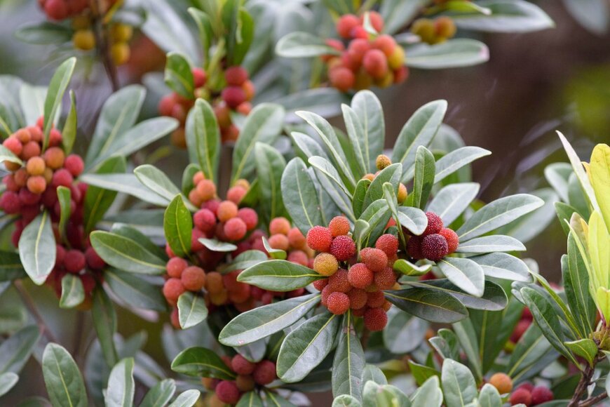 
<!--td {border: 1px solid #cccccc;}br {mso-data-placement:same-cell;}-->

Picmin/shutterstock.com