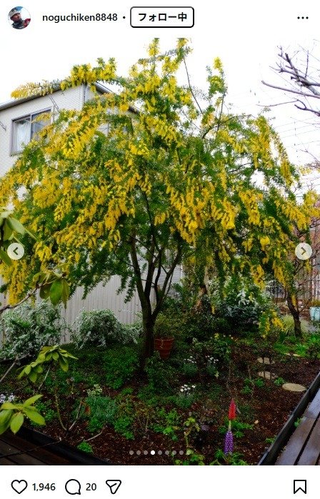 出所：野口健のInstagram（＠noguchiken8848） 参照日：2026年3月19日