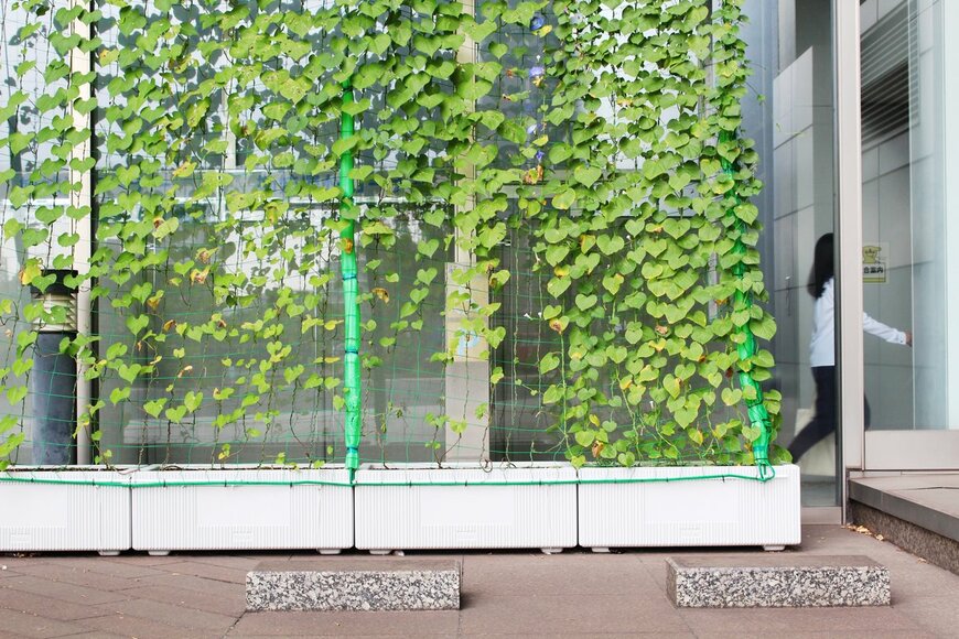 Esin Deniz/Shutterstock.com