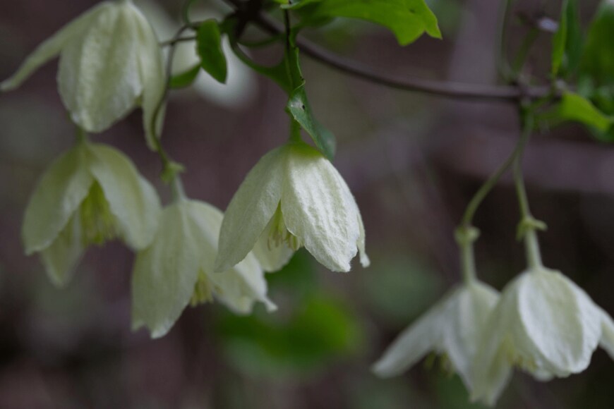 Barbara Gabay/istockphoto.com