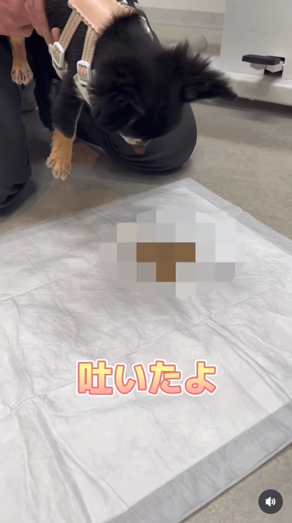 @yinanobe