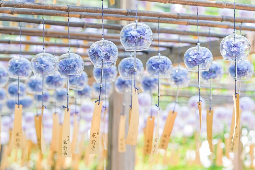 画像出所：@kosan_055