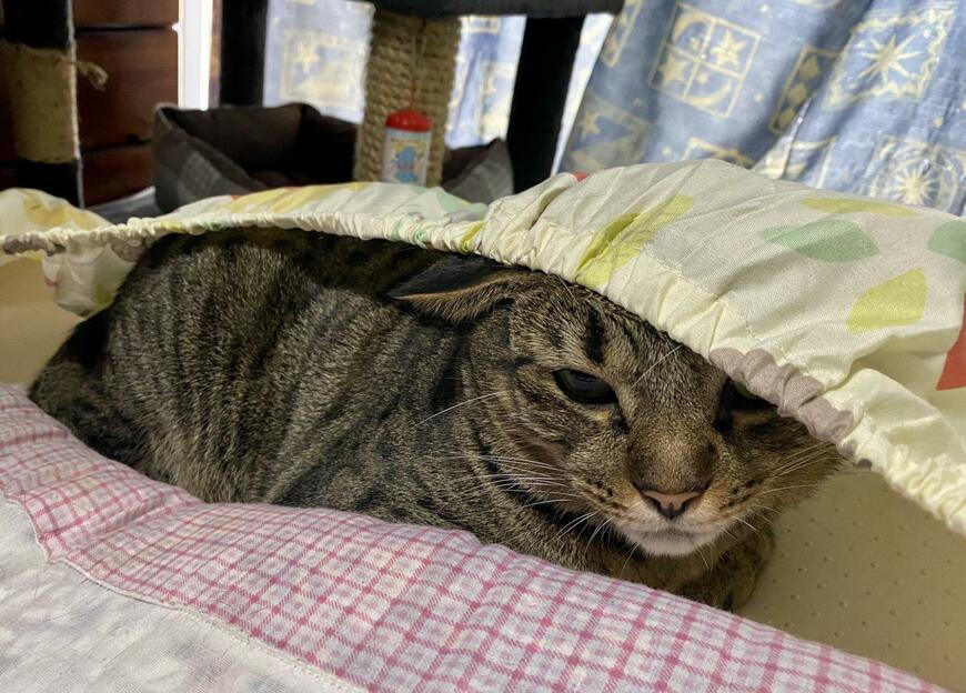 出所：@luna7taka9