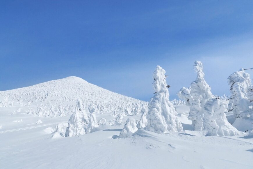 青森県の八甲田の雪原で撮影された衝撃の光景　「道路標識の地名に手が届く男性」を思わず二度見