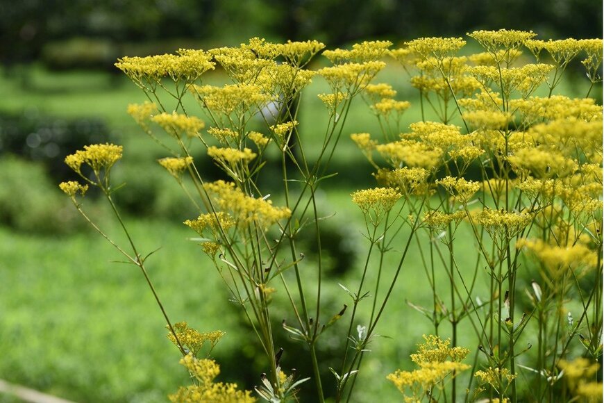 undefined undefined/istockphoto.com