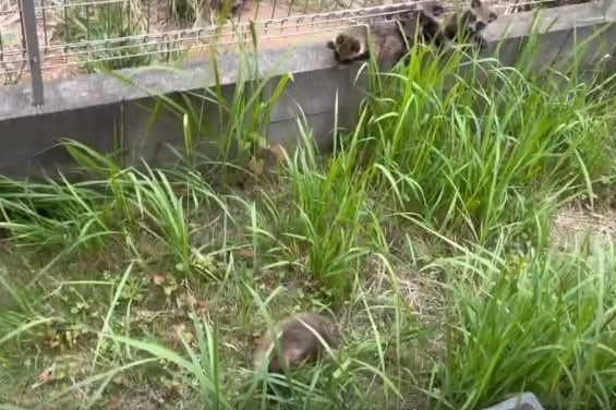 その後は引っ越したと思われる
