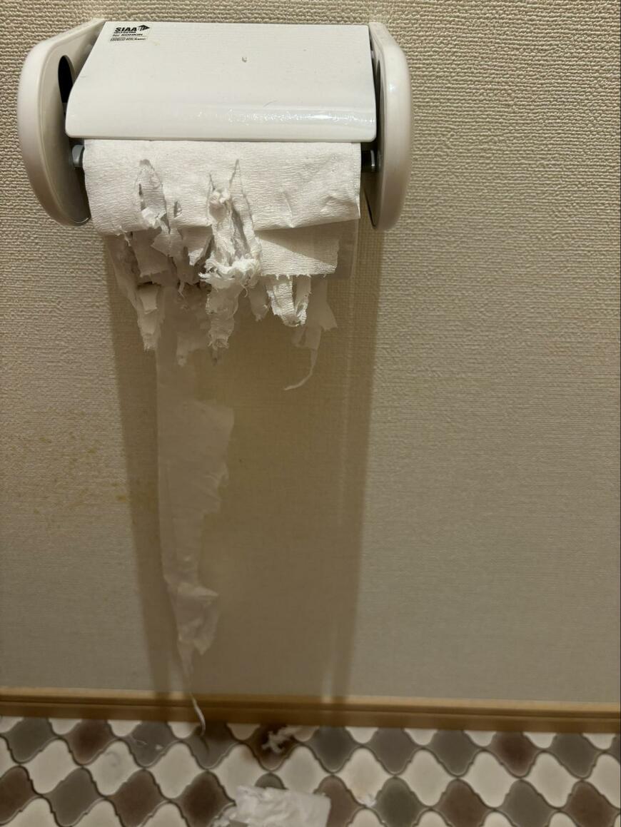 びりびりのトイレットペーパー