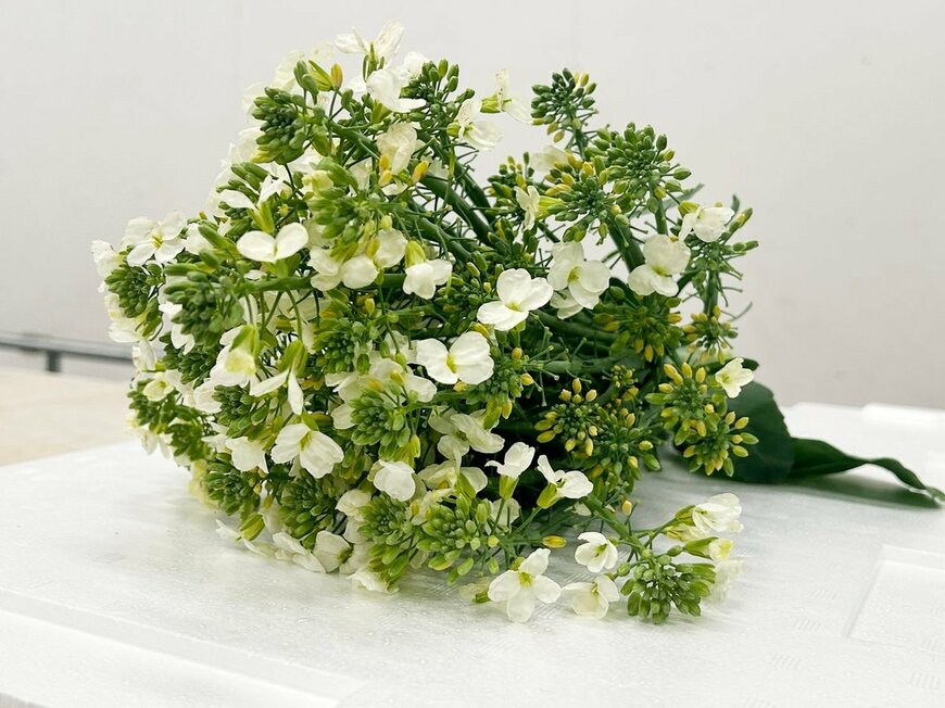結婚式のブーケのよう