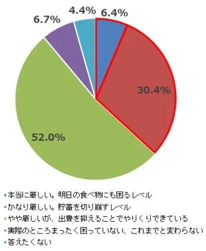 「実際のところ、物価高により生活はどれぐらい厳しくなっていると実感していますか。」(単一回答:n=904)